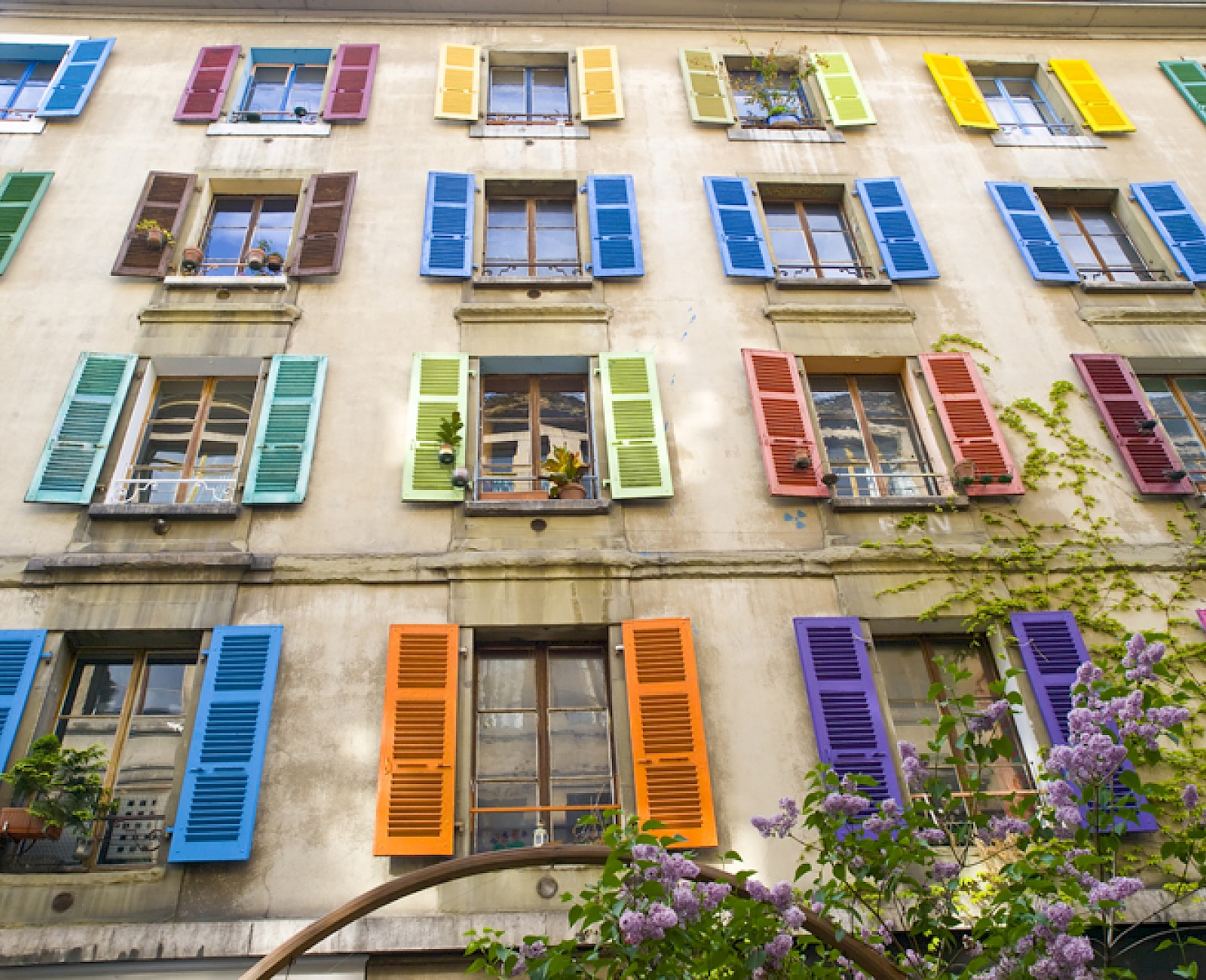 Colorful windows with wooden shutters